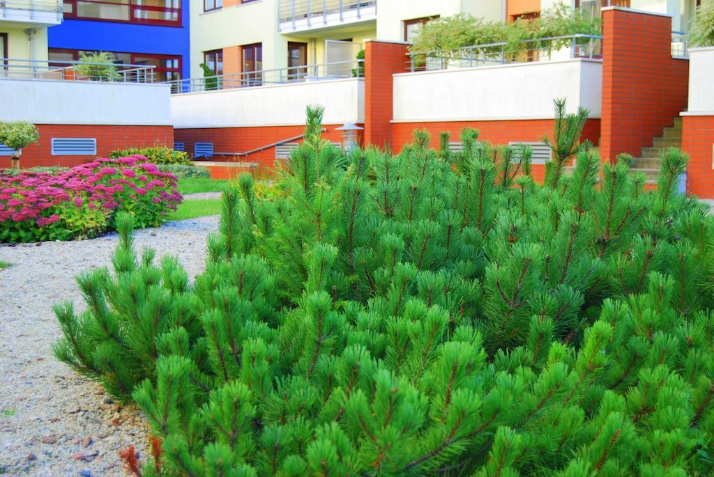 Apartment Jantar Apartamenty- Zielone Tarasy *